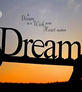 A dream is a wish your heart makes, YourDreamTale.com