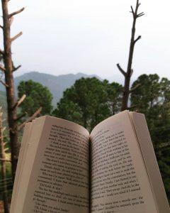 Life's Travel Tales