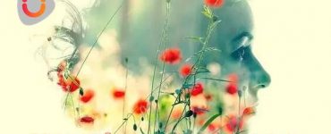 Mind is a powerful weapon, use it in the right direction and success is yours, Yourdreamtale.com